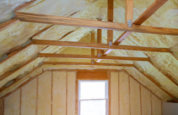 Best Types of Insulation in Port Barre, LA